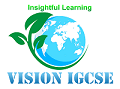 Vision iGCSE GCSE IB